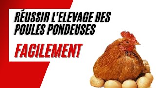 Comment Bien Débuter lElevage des Poules Pondeuses en 5 Etapes [upl. by Nugent]