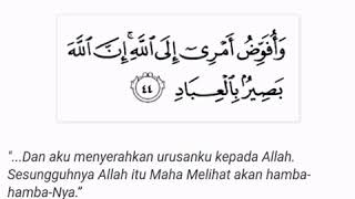 Surah Ghafir Ayat 44 [upl. by Oiredised]