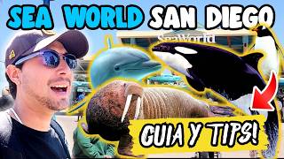 SEA WORLD SAN DIEGO 🐬 Precios Shows Guía COMPLETA🇺🇸✅ [upl. by Saqaw]