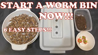 How To Start A New Worm Bin amp What To Feed Your Compost Worms 1st  Vermicompost Worm Farm [upl. by Davies792]