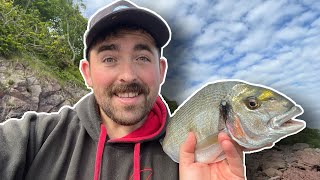 Gilthead Bream Fishing From The Shore  West Wales Pembrokeshire  Target Achieved [upl. by Gunilla]