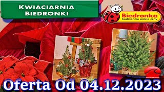 đťđťđť„đťđť‘đťŽđťŤđťŠđť€ đźž Kwiaciarnia Biedronki Nowa Oferta Od 04122023  Kwiatowe Inspiracje Biedronki [upl. by Eli]