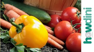 Organic gardening How to grow an organic vegetable garden [upl. by Oicirbaf606]