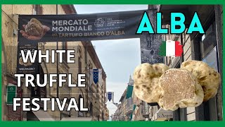 White Truffle Festival  Tartufo Bianco dAlba Piemonte Italy [upl. by Ylil]