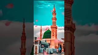 Amina ka laal aaya Amina ka laal aaya madinasharif786 eidmiladunnabi [upl. by Lemrej]