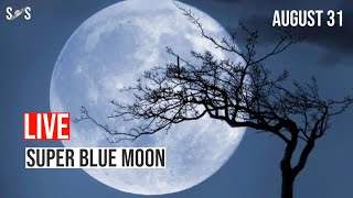 Blue moon of August 2023 LIVE  Super Blue Moon  August 31 [upl. by Anivlem]