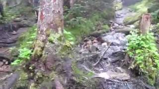 Hiking up to the Gothics summit in the Adirondacks [upl. by Reemas]