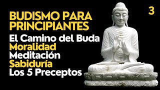 ☸️ Budismo para Principiantes  El Camino del Buda  Moralidad Meditación Sabiduría y 5 Preceptos [upl. by Aynwad]