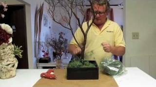 Manzanita Branch Centerpieces HowTo 1 [upl. by Jere608]