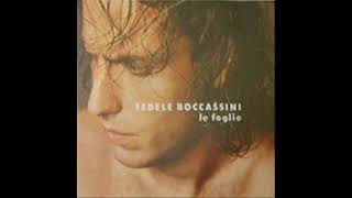 Fedele BoccassiniLe Foglie 1995 [upl. by Eegnat]