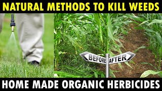 Organic Herbicides for Farming  Natural Weed Killer Weedicides  Organic Farming [upl. by Bonucci]