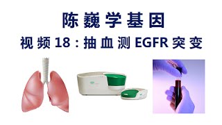 【陈巍学基因】视频18：抽血测EGFR突变 [upl. by Dionne]