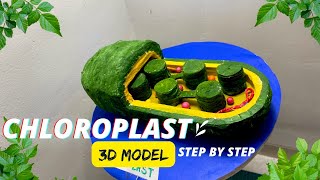 Chloroplast model biology project science exhibition NakulSahuArt [upl. by Reddin]