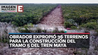 Juez otorga segunda suspensión definitiva en tramo 5 del Tren Maya [upl. by Fiedler]