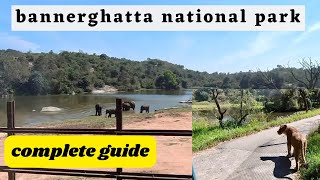 Bannerghatta national park bangalore safari  Zoo  Butterfly Park  complete guide [upl. by Kelvin]