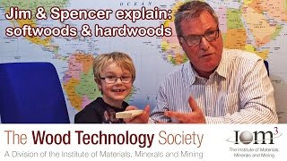 Jim and Spencer explain hardwoods and softwoods [upl. by Mintz]