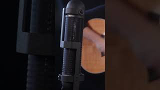 Royer vs AEA stereo ribbon mics  SHORT [upl. by Ahsiya]