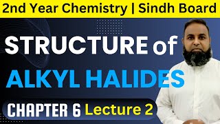 Structure of Alkyl Halides  Topic 611  Chapter 6  Class 12 Chemistry  Sindh Board  2024 [upl. by Florida]