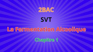 2BACSVT  CH1 Libération de lénergie emmagasinée dans la matière  La Fermentation Alcoolique [upl. by Handal217]