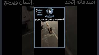 تحب هالمحتوىٰ؟ تابعني ✋🏽 جيشالهوتيز funny [upl. by Yslehc361]