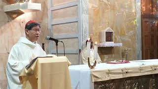 Mass with Cardinal Tagle Feast of the Annunciation March 25 2020 [upl. by Leaffar]