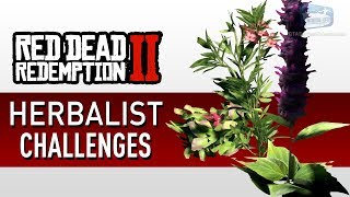 Red Dead Redemption 2  Herbalist Challenge Guide [upl. by Akirej]