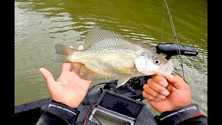 Wabigoon Lake Fall Crappie [upl. by Orin168]