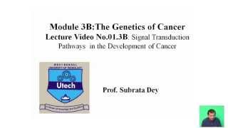 Signal transduction pathways in the development of cancer [upl. by Bunni]