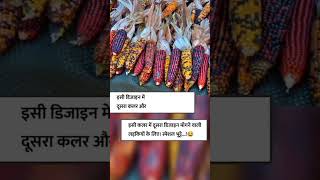 ISi design mein koi dusra dikha doviral shorts shortvideo viral comedy funny jokes ytshorts [upl. by Zarah160]