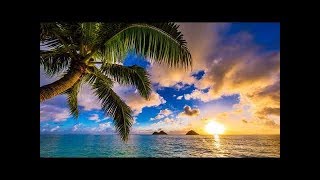 Happy UKULELE Music 10 Hours  Summer Ukulele Instrumental Background Cheerful Joyful and Upbeat [upl. by Lilybelle]