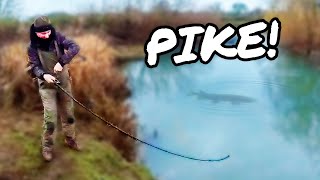 Finally  its time for pike fishing [upl. by Burke]