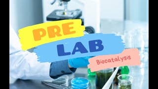 prelab biocatalysis [upl. by Lecia]