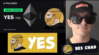 YES  THE YES TOKEN CRYPTO COIN HOW TO BUY MFTS MFT CHAD POLONIEX ETH ETHETEUM UNISWAP MEME YESCHAD [upl. by Atiuqiram]