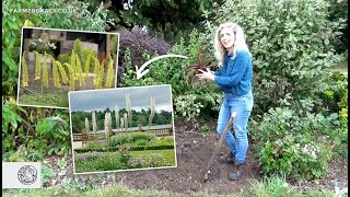 How to grow Eremurus Foxtail Lily bulbstubers  FarmerGracycouk [upl. by Scoville]