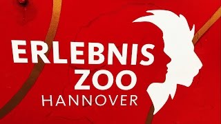 26 Februar 2017 Ein Zoobesuch in Hannover [upl. by Fleck]