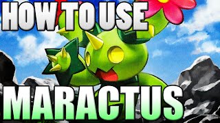 Pokémon How To Use Maractus Maractus Moveset  Pokemon Omega Ruby and Alpha Sapphire  XampY Guide [upl. by Sande]