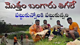 ఇక్కడ చేపలు పట్టుకున్నోలకి పట్టుకున్నని అన్ని బంగారు తీగలే Net fishing Telugu ganeshvlogger [upl. by Lledniw]