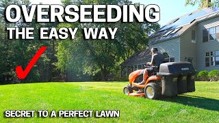 How to OVERSEED Your Lawn in FALL  Easy Way [upl. by Esil]