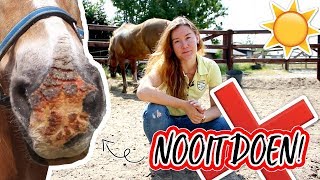 Doe dit NOOIT met je paard in de ZOMER  felinehoi [upl. by Florence]