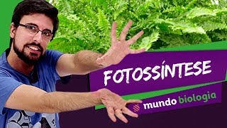 🔬 Citologia 67 Fotossíntese  Biologia  ENEM [upl. by Okimat]