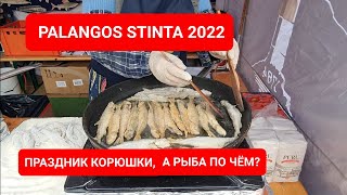 ПалангаКорюшка ты где Palangos stinta 2022 Lietuva [upl. by Itirahc]