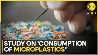 Study shows how microplastics are affecting the world  WION [upl. by Kilian]