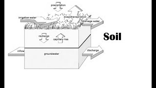 CSEC CXC SOIL  Leaching Capillary action illuviation and Elluviation [upl. by Llerryt839]