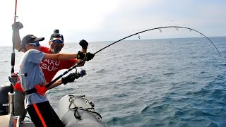 Ludo et Théo pêre et fils Pêche Thons Rouges HD [upl. by Adriano]