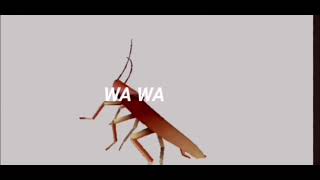 Cucaracha bailando meme random [upl. by Meldon268]