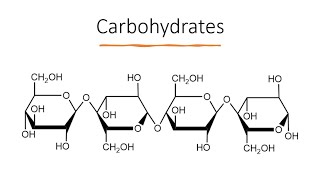 Carbohydrates [upl. by Kielty822]