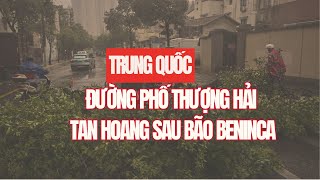 Đường phố Thượng Hải tan hoang sau bão Beninca [upl. by Atiuqram174]