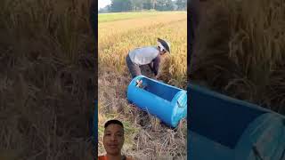 Rice harvesting tools agriculture farmer tools harvestingtool smartworkers [upl. by Rehpinnej]