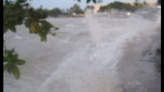 Shocking Footage of the 2011 Tsunami Hitting Hawaii [upl. by Mendez928]