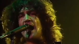 Billy Squier  I Need You  11201981  Santa Monica Civic Auditorium Official [upl. by Carmelina859]